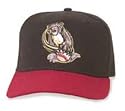Minor League Baseball Cap - Sacramento River Cats Road Cap by New Era