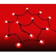 Accents: Battery Operated Decorative Light Strings - WHITE