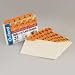 Daily (1-31) Laminated Manila Index Card Guides