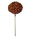 Search : Halloween Sprinkled Popcorn Ball