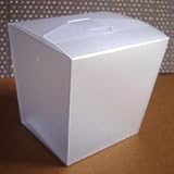Frosted Chinese Takeout Box (30)