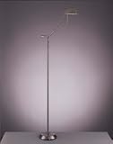 Contemporary Brushed Nickel Floor Lamp