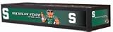 Michigan State Executive Billiard Light - NCAA Team