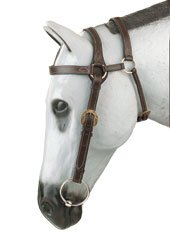 Kimberley Extended Head Bridle