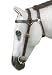 Kimberley Extended Head Bridle