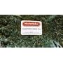 MarketSpice (cinnamon-orange) Green Tea 1# Bag