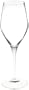 Spiegelau Authentis Collection Champagne Glasses, Set of 6