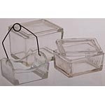 Microscope Slide Staining Dish with Rack