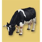 Childrens Toyshop  Toys : Papo - Black/White Grazing Cow