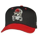 Minor League Baseball Cap - Nashville Sounds Batting Practice Cap by New Era