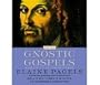 Gnostic Dialogue: Early Church and the Crisis of Gnosticism (Theological inquiries)