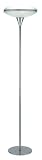 Contemporary Dome Collection Polished Steel Frosted Glass Floor Lamp
