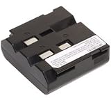 Sharp Viewcam battery