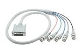 EVC Cable, Male / 5 BNC, 10.0 ft