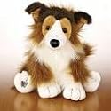 WEBKINZ ~ COLLIE
