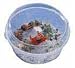 Pet Supplies : Reptile Circle Habitat 10 Dia X 5"h