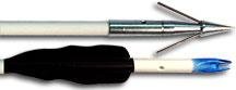 Buy CAJUN ARCHERY LIL' STINGER FISHING ARROW by CAJUN ARCHERY INC