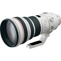 Canon EF 400mm f/2.8L IS USM Super Telephoto Lens for Canon SLR Cameras