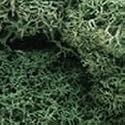 Lichen, Light Green