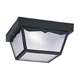 79021PBLE-12 - SeaGull Lighting Single-Light Outdoor Ceiling Fixture