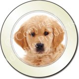 GOLDEN RETRIVER PUPPPY Tax Disc Holder