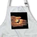 Kike Calvo Animals - Palmate Newt, Triturus helveticus, in pond in breeding condition - Aprons