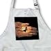 Kike Calvo Animals - Palmate Newt, Triturus helveticus, in pond in breeding condition - Aprons