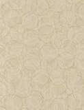 UPC 688598374217 product image for Wilsonart Laminate 4933-38, Cream Fizz, Fine Velvet Texture, 60inX144in | upcitemdb.com