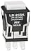 Illuminated Pushbutton Switch, DPDT, On-(On), 3 A, 250 V