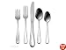 Oneida Flight 45-Piece Set, Service for 8