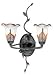 Bellissimo W- Pale Feather Glass Bath Fixture - BLPF8602IB