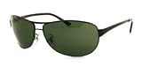 Ray Ban RB 3342 Warrior Sunglasses