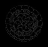 Black Floral Crocheted Hair Bun Cover- MEDIUM