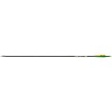 1 Dozen Easton® ST Epic Shafts