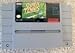 Video Games : Super Tennis