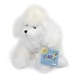 Lil Kinz white Poodle