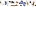 INSECTS PHOTO BORDER