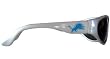 Detroit Lions Sunglasses - NFL Football Fan Shop Sports Team Merchandise