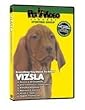 Scottish Terrier DVD! + Dog & Puppy Training Bonus