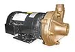 Dayton 2ZXA6 Centrifugal Pump, 2 HP, 3 Ph, 230/460V