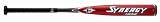 Sporting Goods : Easton 2009 LZN1 Synergy IMX Youth Baseball Bat (-12)
