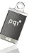 Electronics : PQI i810 Plus - 4GB Intelligent Drive USB 2.0 Mini I-Stick (Gray)