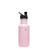 Klean Kanteen Stainless Steel 18 Ounce Water Bottle with 2.0 Sports Cap, Pink Renewal
