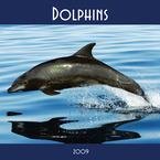 Dolphins 2009 Wall Calendar