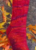 Autumnal Equinox Socks Pattern (Heartstrings Fiberarts #T309)