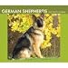 German Shepherds 2009 Desk Calendar