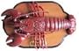 Big Mouth Larry Lobster