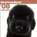 Newfoundland Wall (ARTLIST) 2008
