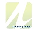 SALOMON Quest 4D GTX Mens Hiking Shoes