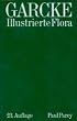 Garcke Illustrierte Flora. Deutschland und angrenzende Gebiete. Gef�sskryptogamen und Bl�tenpflanzen